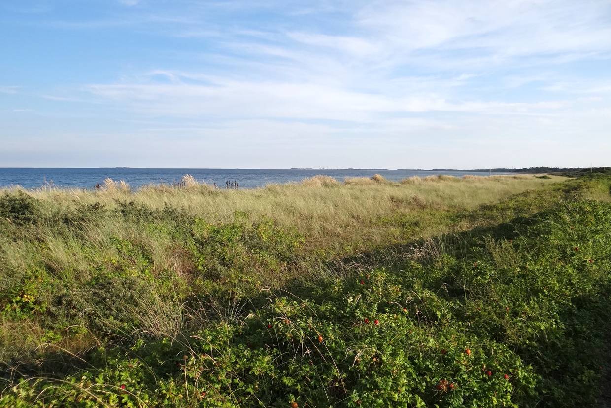 Foto von Mårup Østerstrand