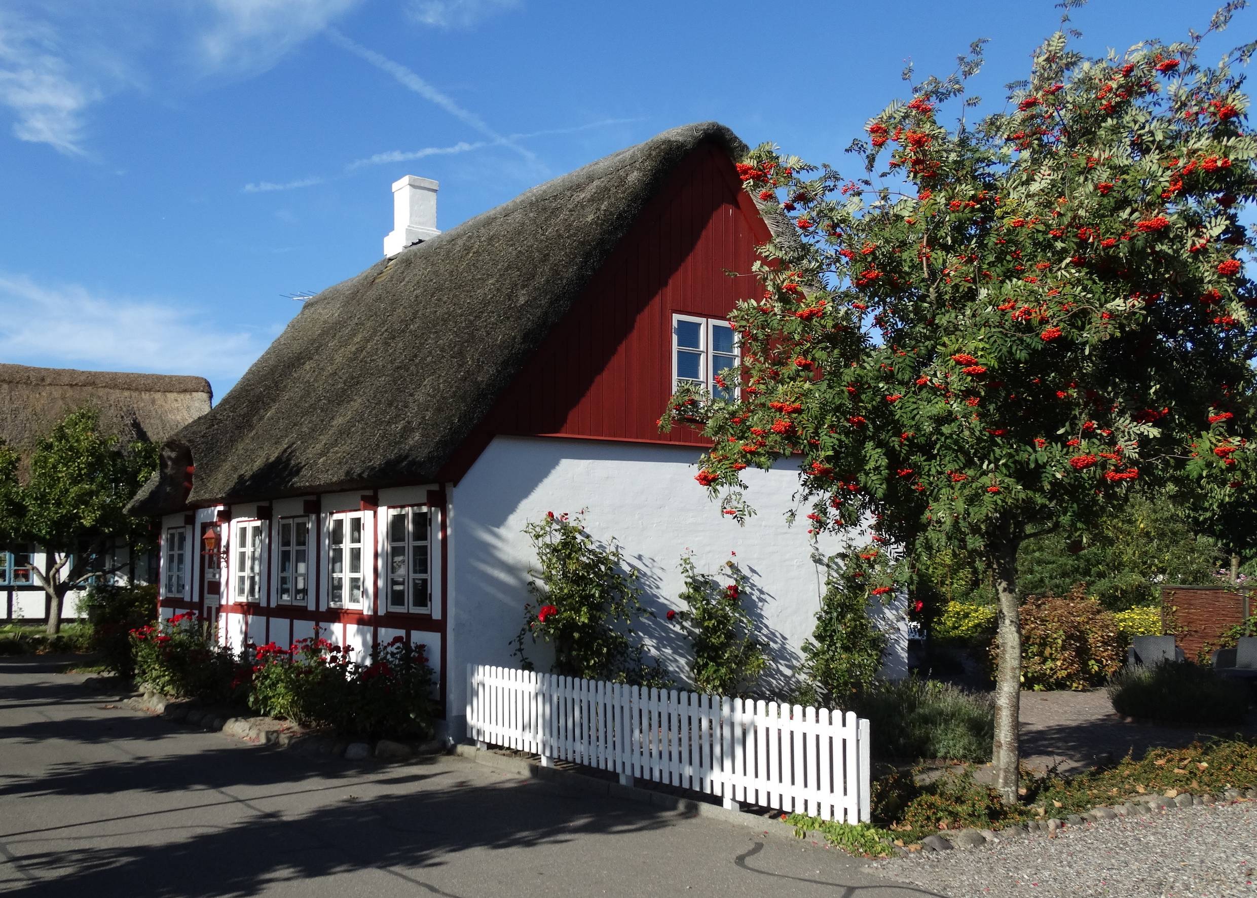 Fachwerkhaus mit Reetdach, davor ein weißer Zaun und viele Blumen