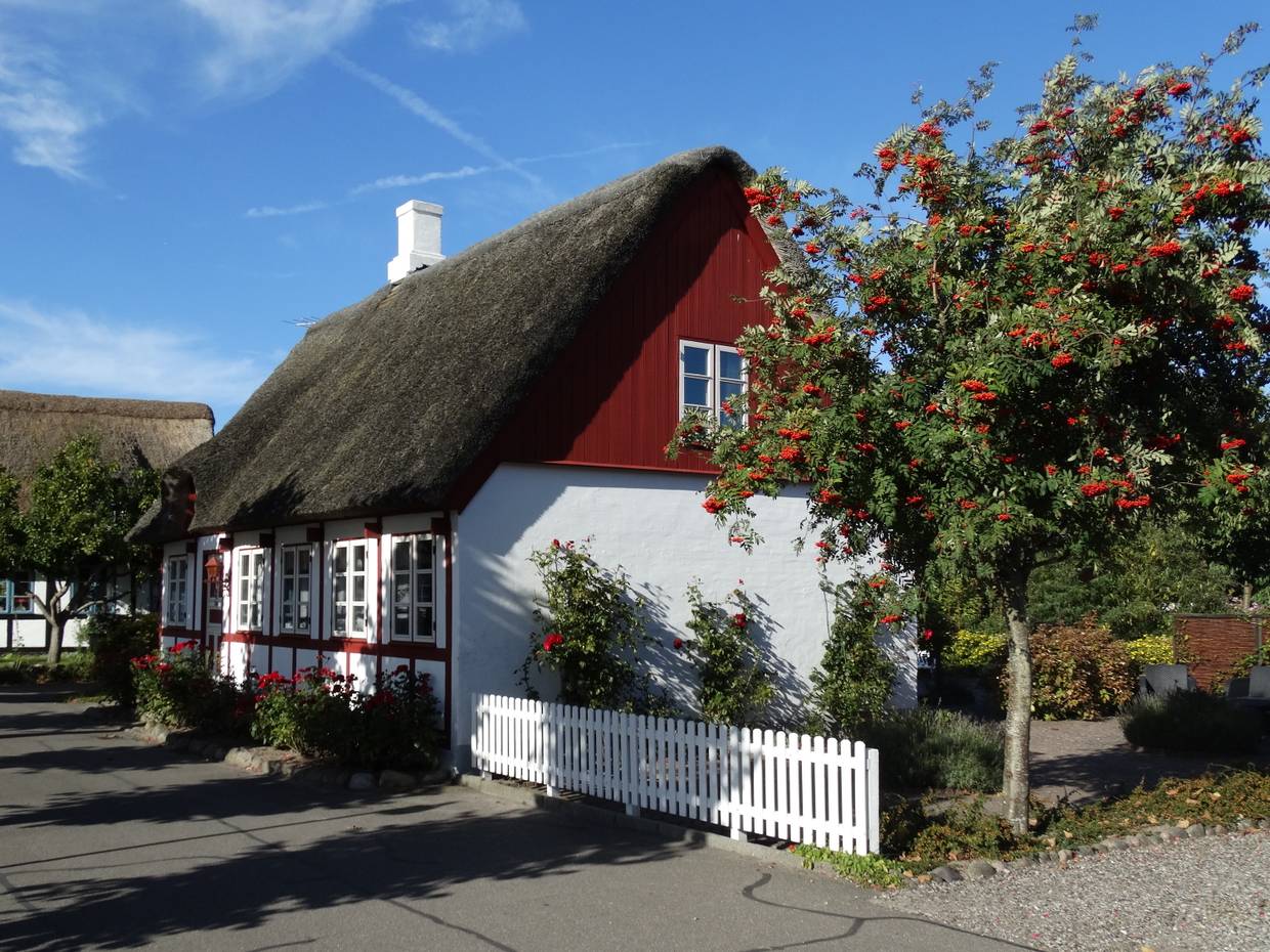 Fachwerkhaus mit Reetdach, davor ein weißer Zaun und viele Blumen