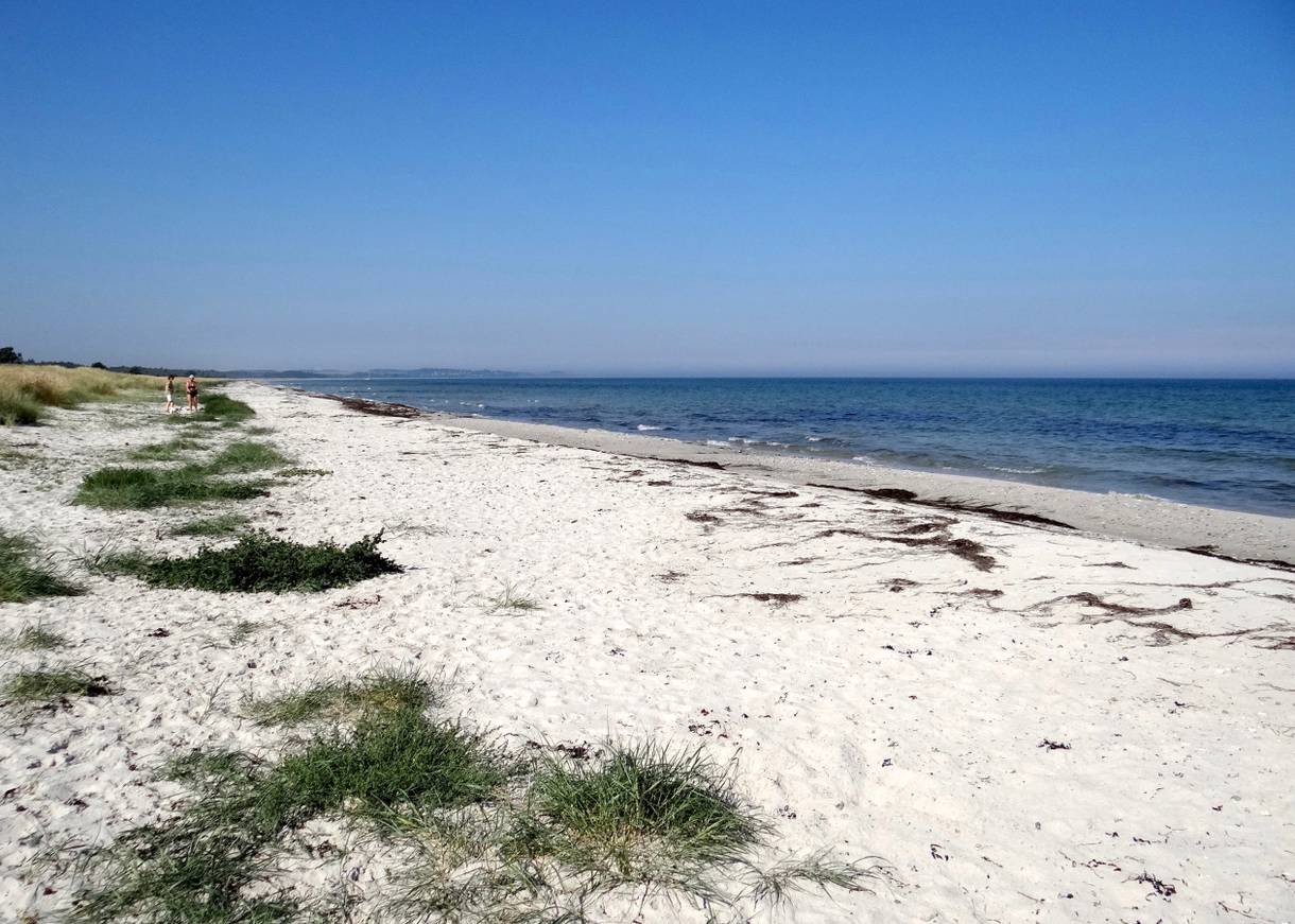 Weißer Sandstrand mit etwas Gras, dahinter die wellen arme Ostsee