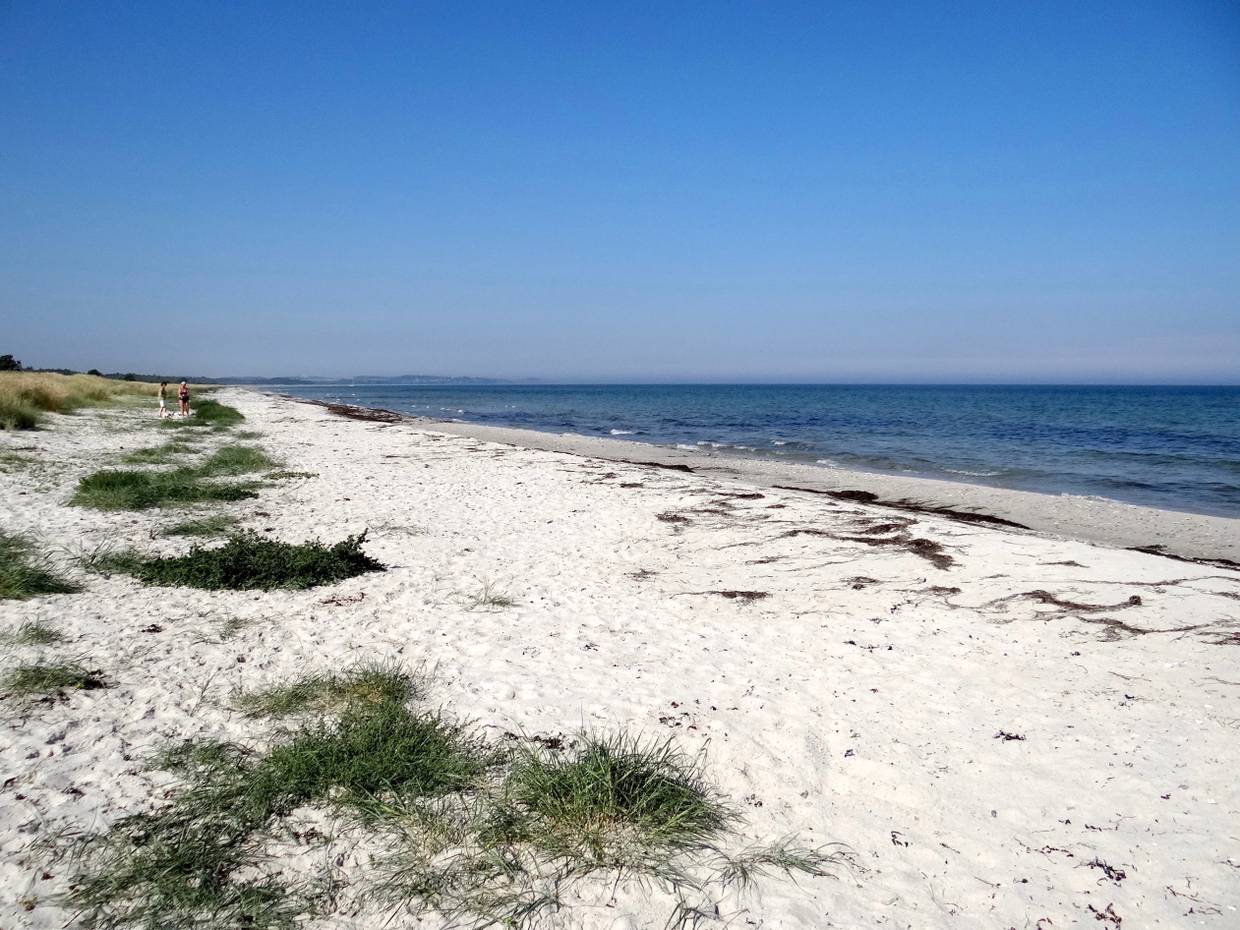 Weißer Sandstrand mit etwas Gras, dahinter die wellen arme Ostsee