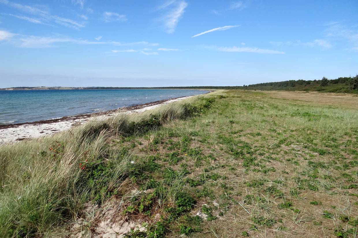Foto von Sælvig Strand 