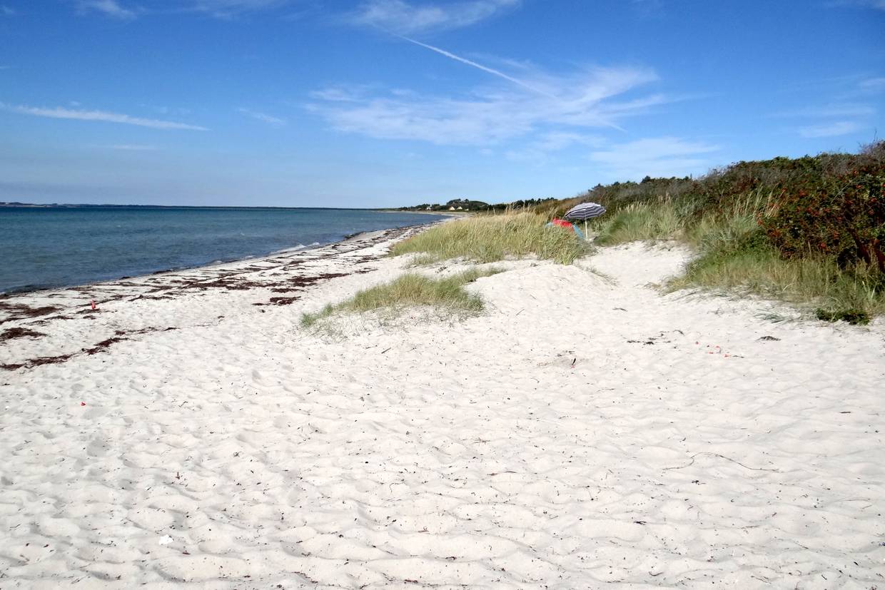 Foto von Sælvig Strand 