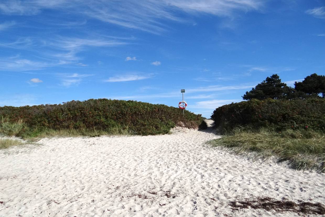 Foto von Sælvig Strand 