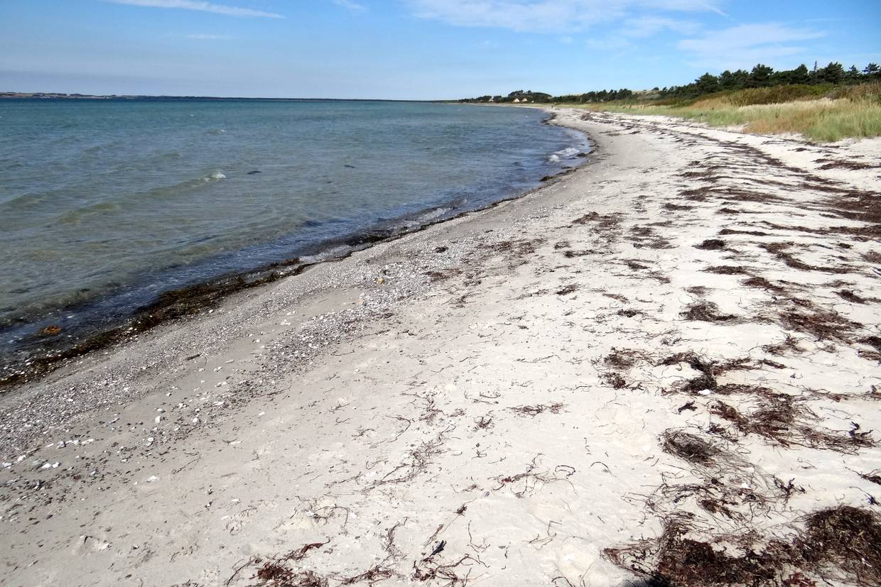 Foto von Sælvig Strand 