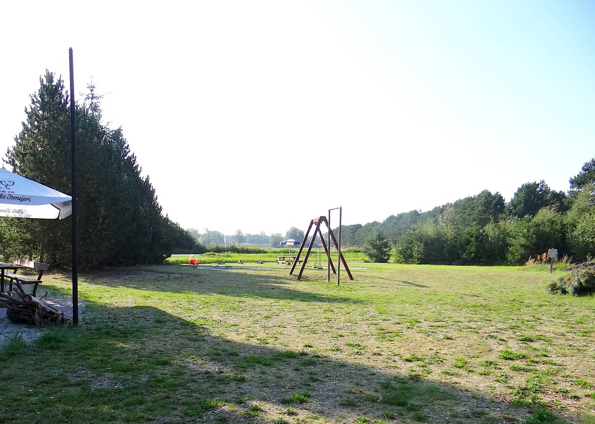 Schaukeln auf einer Wiese