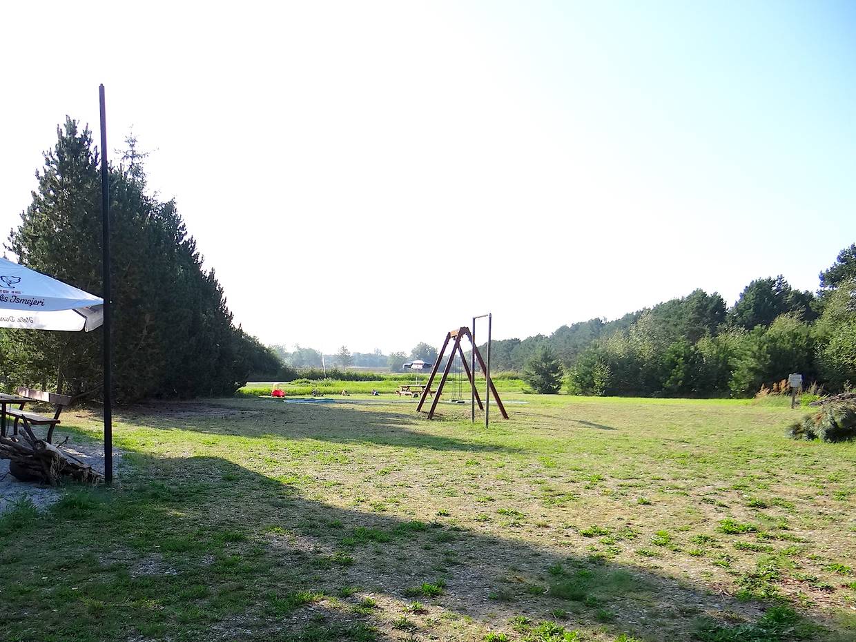 Schaukeln auf einer Wiese