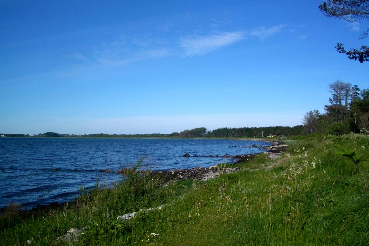 Foto von Sælvig Strand 