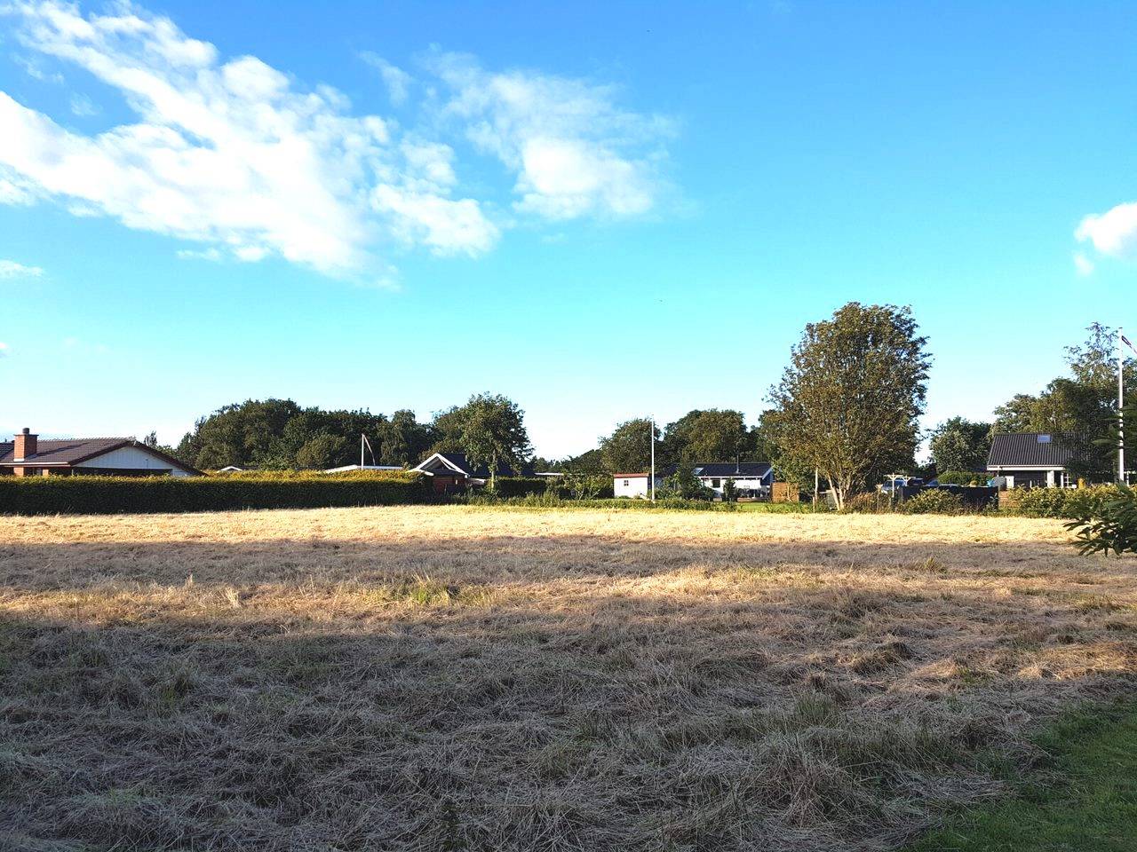 Blick über ein Feld, im Hintergrund flache Häuser