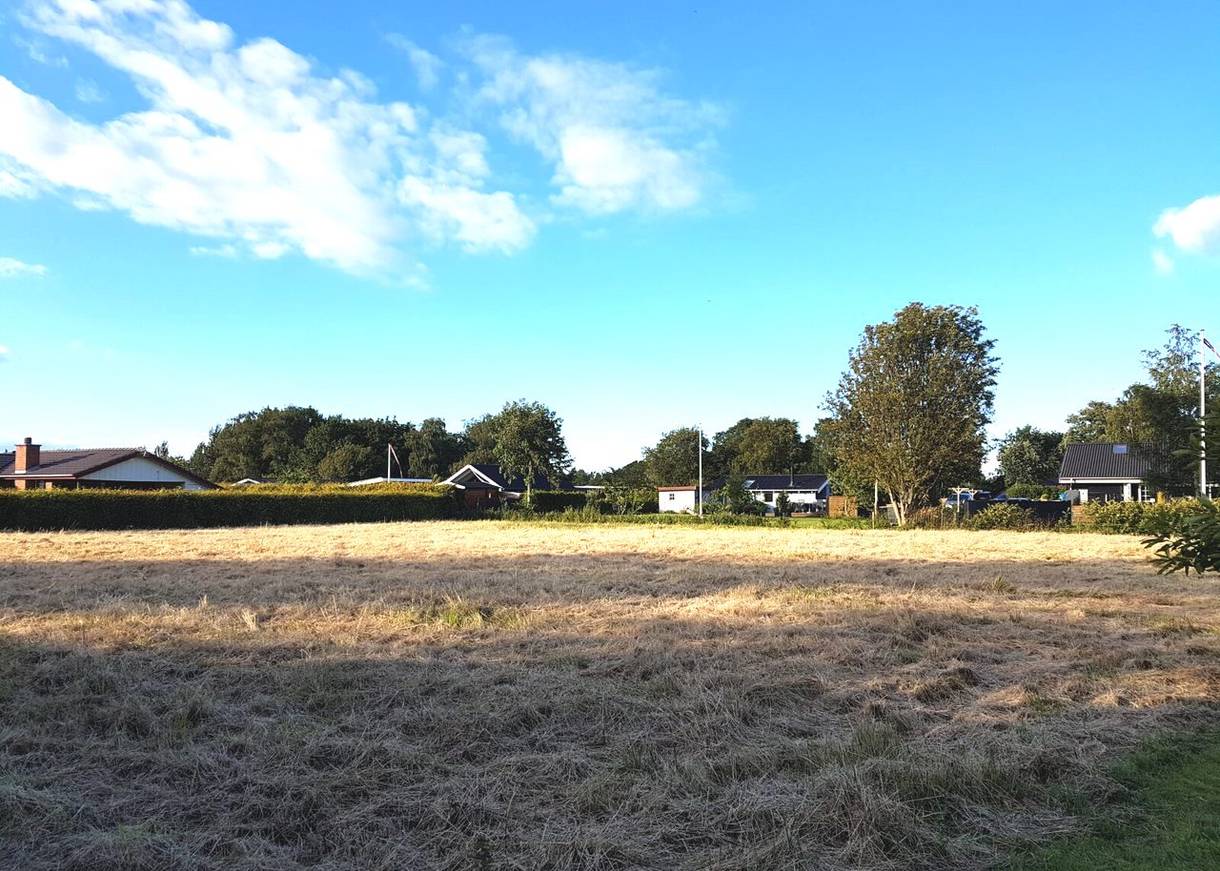Blick über ein Feld, im Hintergrund flache Häuser