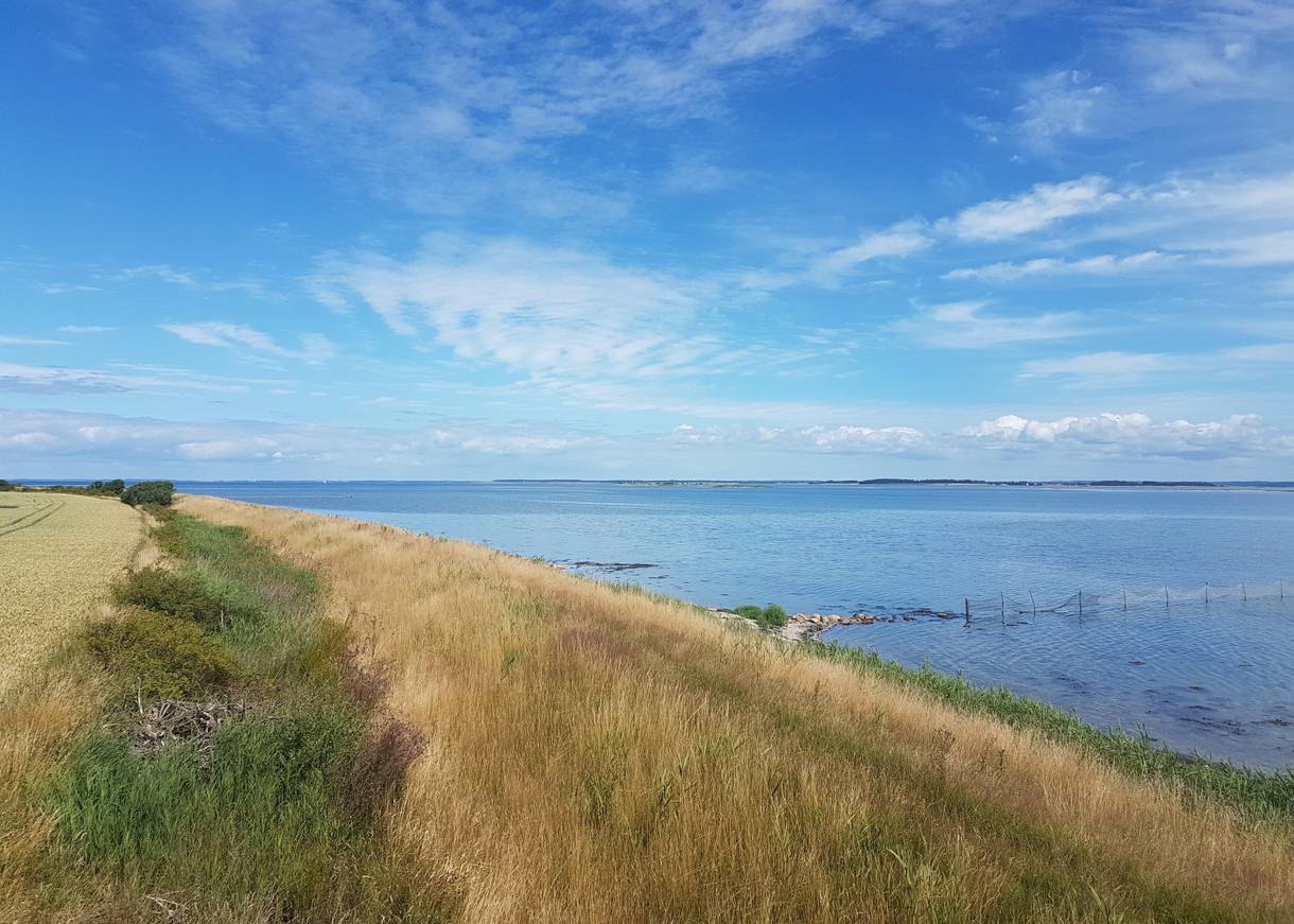 Küstenstreifen mit Schilf, flaches, steiniges Wasser, blauer Himmel