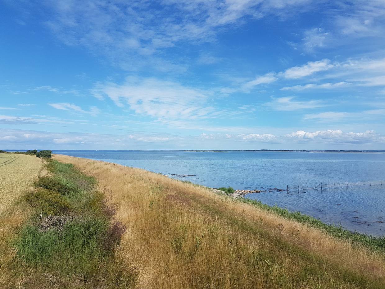 Küstenstreifen mit Schilf, flaches, steiniges Wasser, blauer Himmel