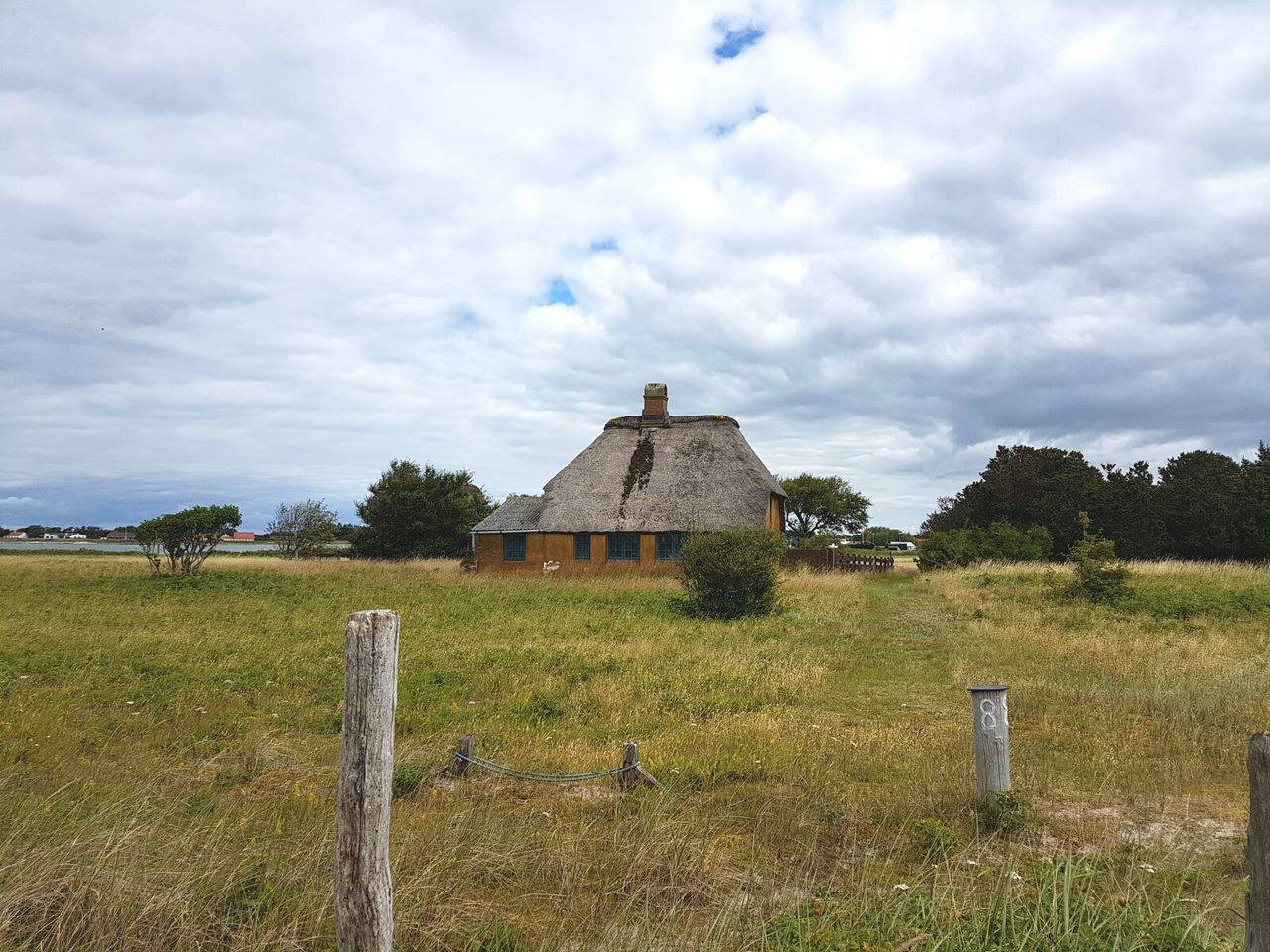 Gelbes Haus mit Reetdach auf einer Wiese