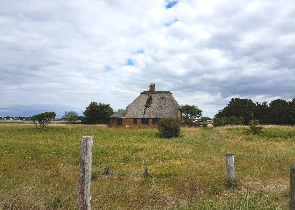 Gelbes Haus mit Reetdach auf einer Wiese