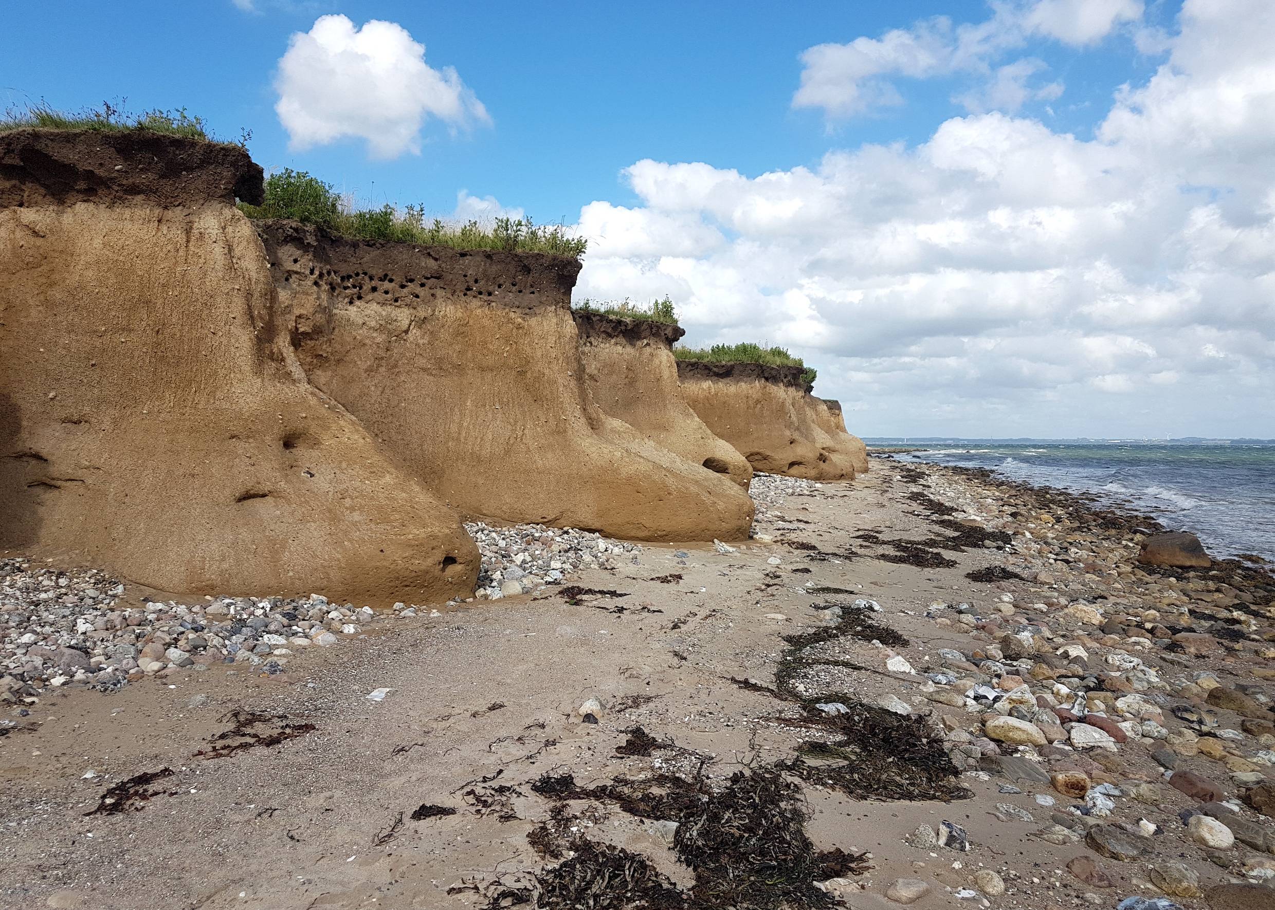 Ausgewaschene, sandige Steilküste, in der Mauersegler ihre Höhlen haben
