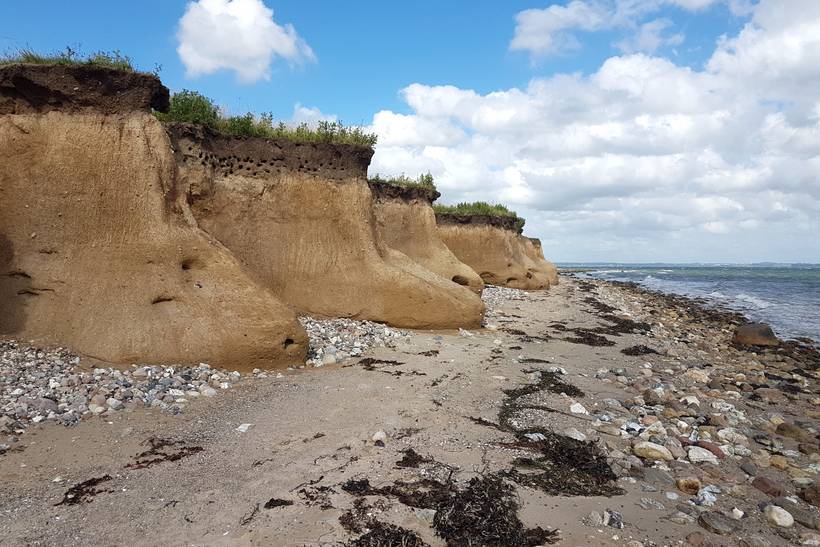 Foto von Årø Strand