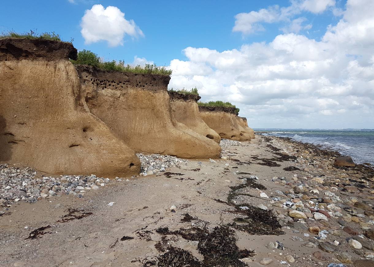 Ausgewaschene, sandige Steilküste, in der Mauersegler ihre Höhlen haben