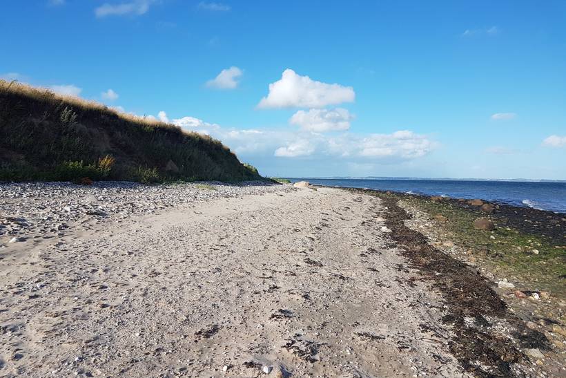 Foto von Årø Strand