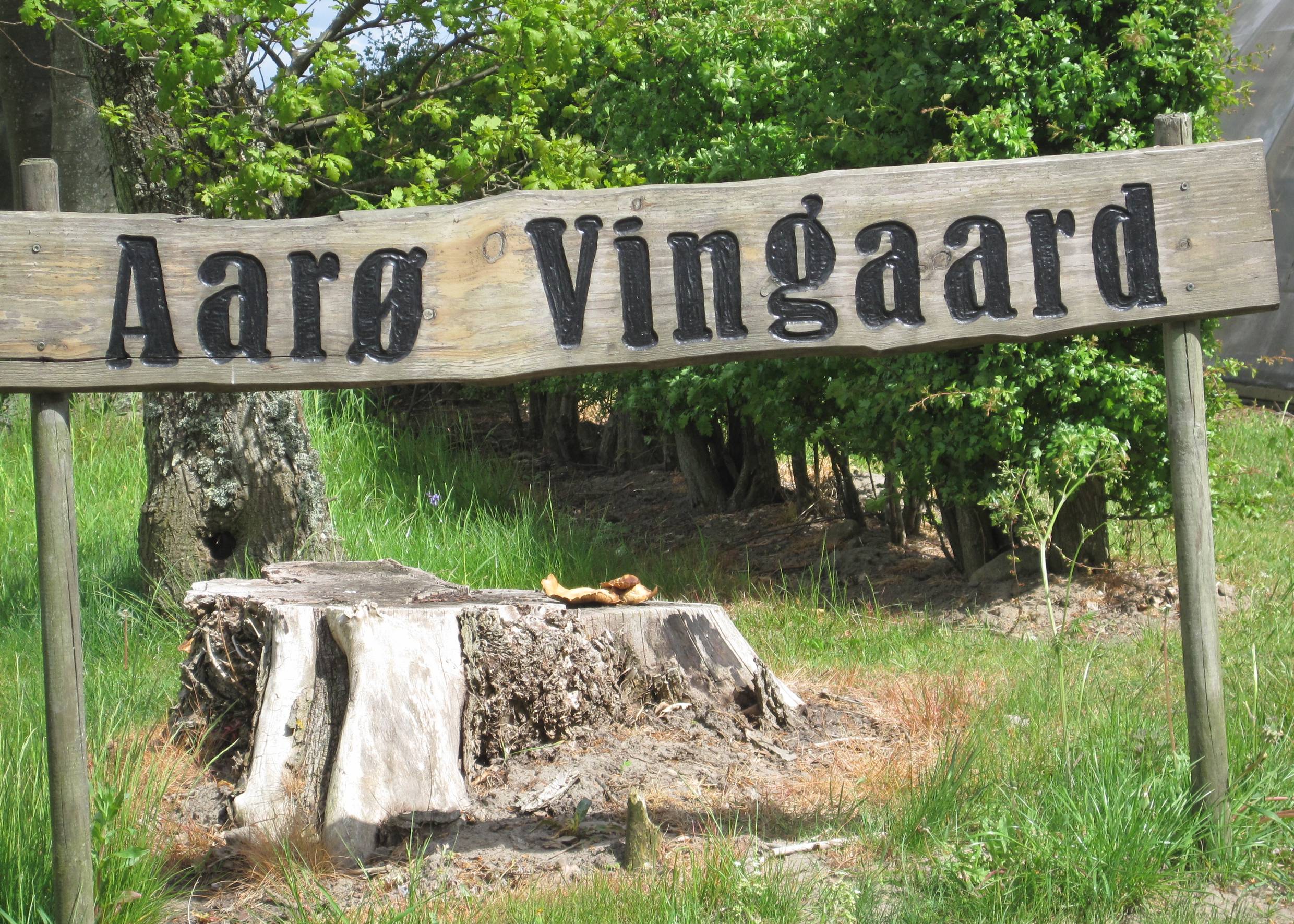 Rustikales Holzschild mit der Aufschrift Aarø Vingaard