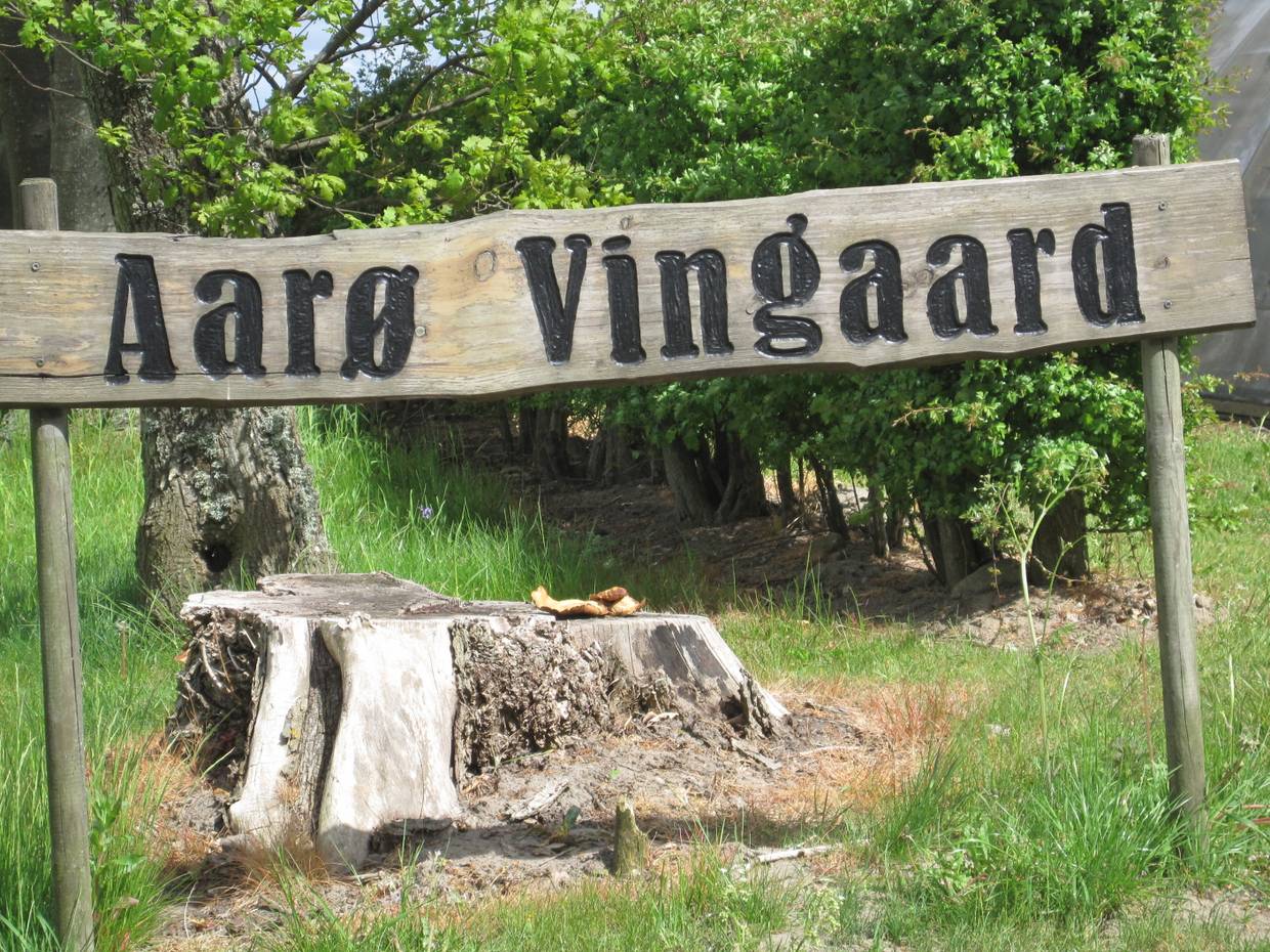 Rustikales Holzschild mit der Aufschrift Aarø Vingaard