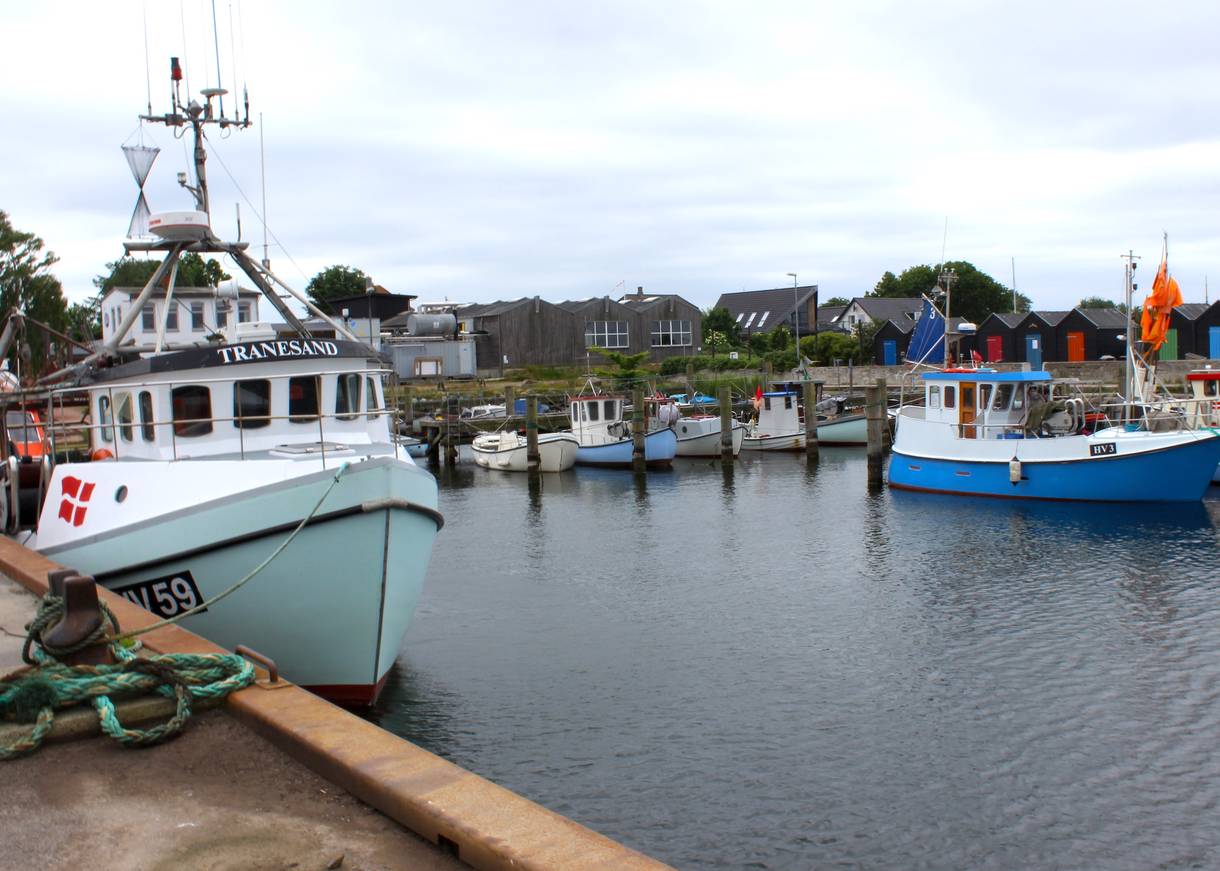 Fischkutter an der Mole im Hafen