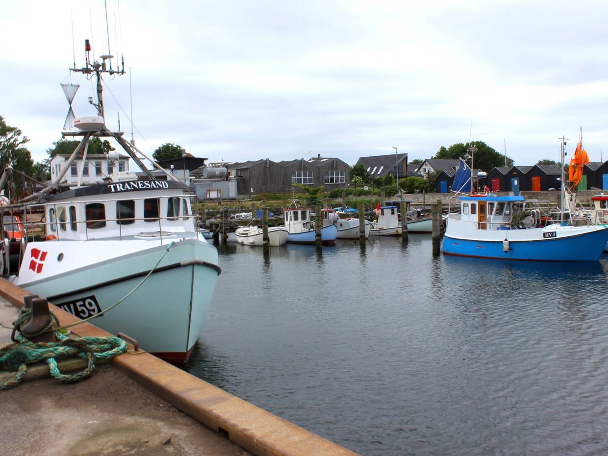 Fischkutter an der Mole im Hafen