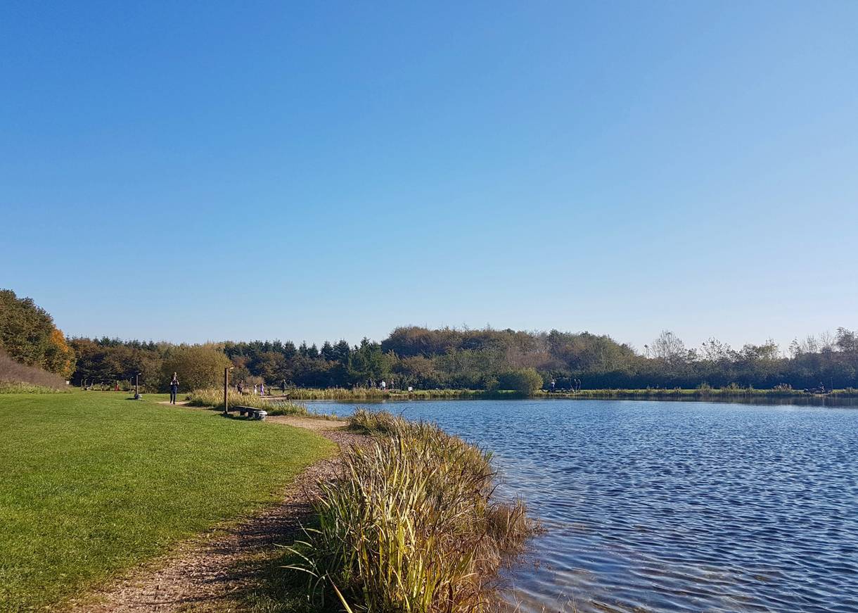 Angelsee, umgeben von Wiesen und Büschen