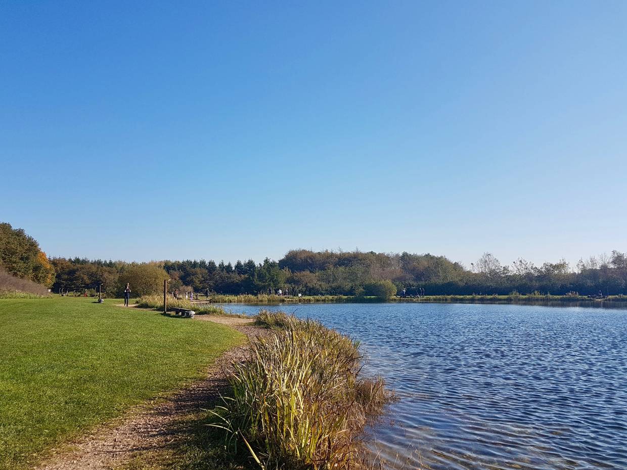 Angelsee, umgeben von Wiesen und Büschen