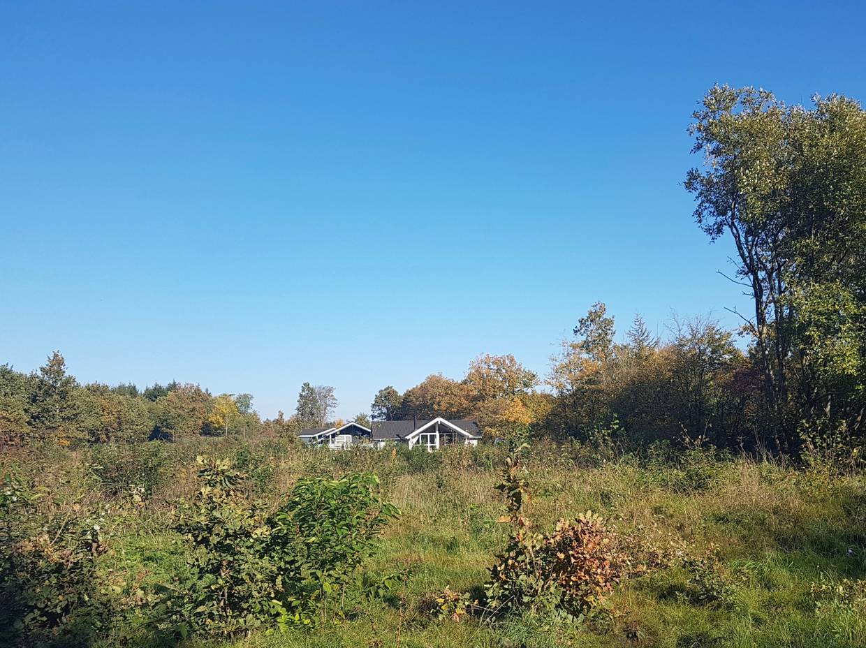 Frei stehendes Ferienhaus zwischen Bäumen und Büschen