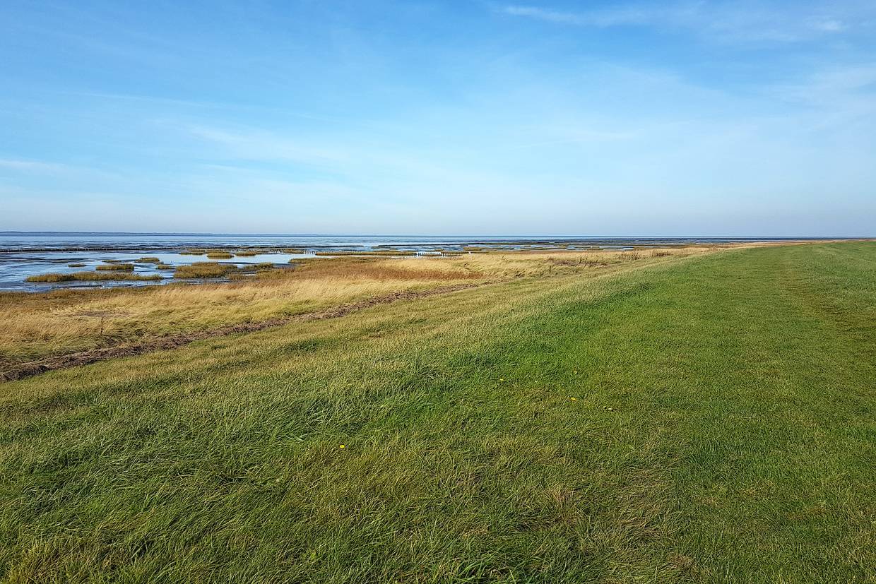 Foto von Wattenmeerküste