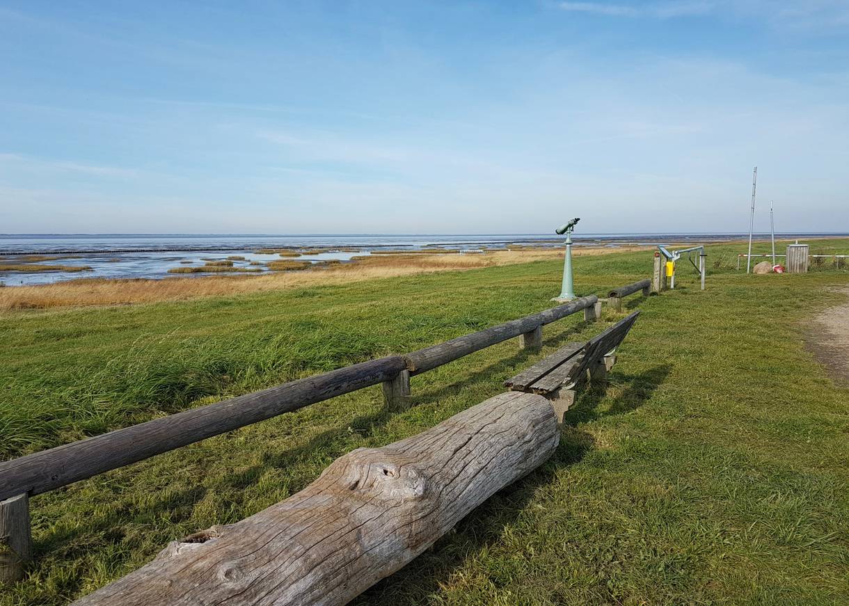 Aussichtpunkt mit einem Fernglas am Parkplatz vor dem Wattenmeer