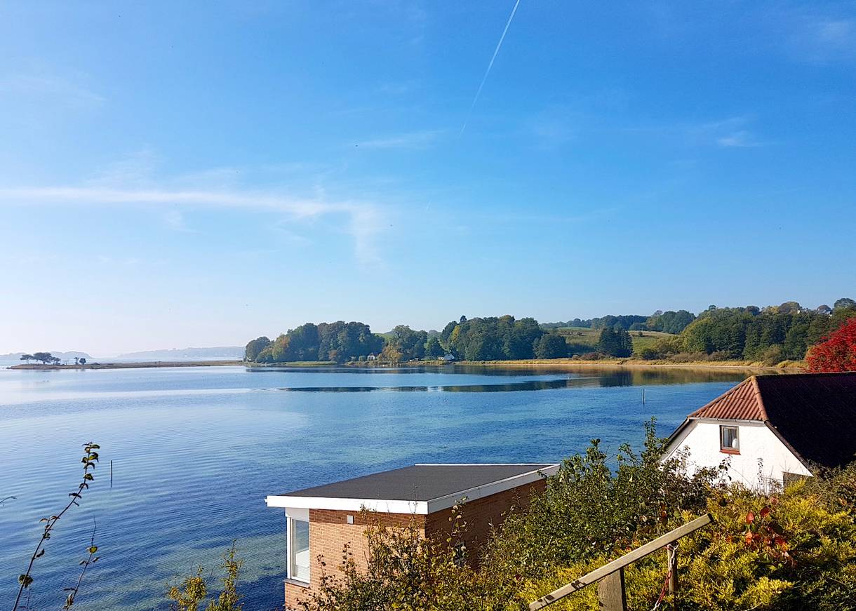 Blick über die Förde, Laubbäume und verienzelte Häuser am Ufer