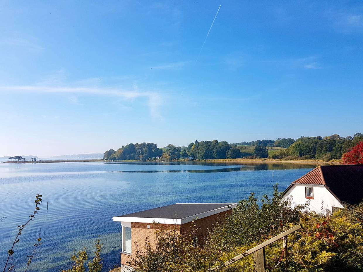 Blick über die Förde, Laubbäume und verienzelte Häuser am Ufer