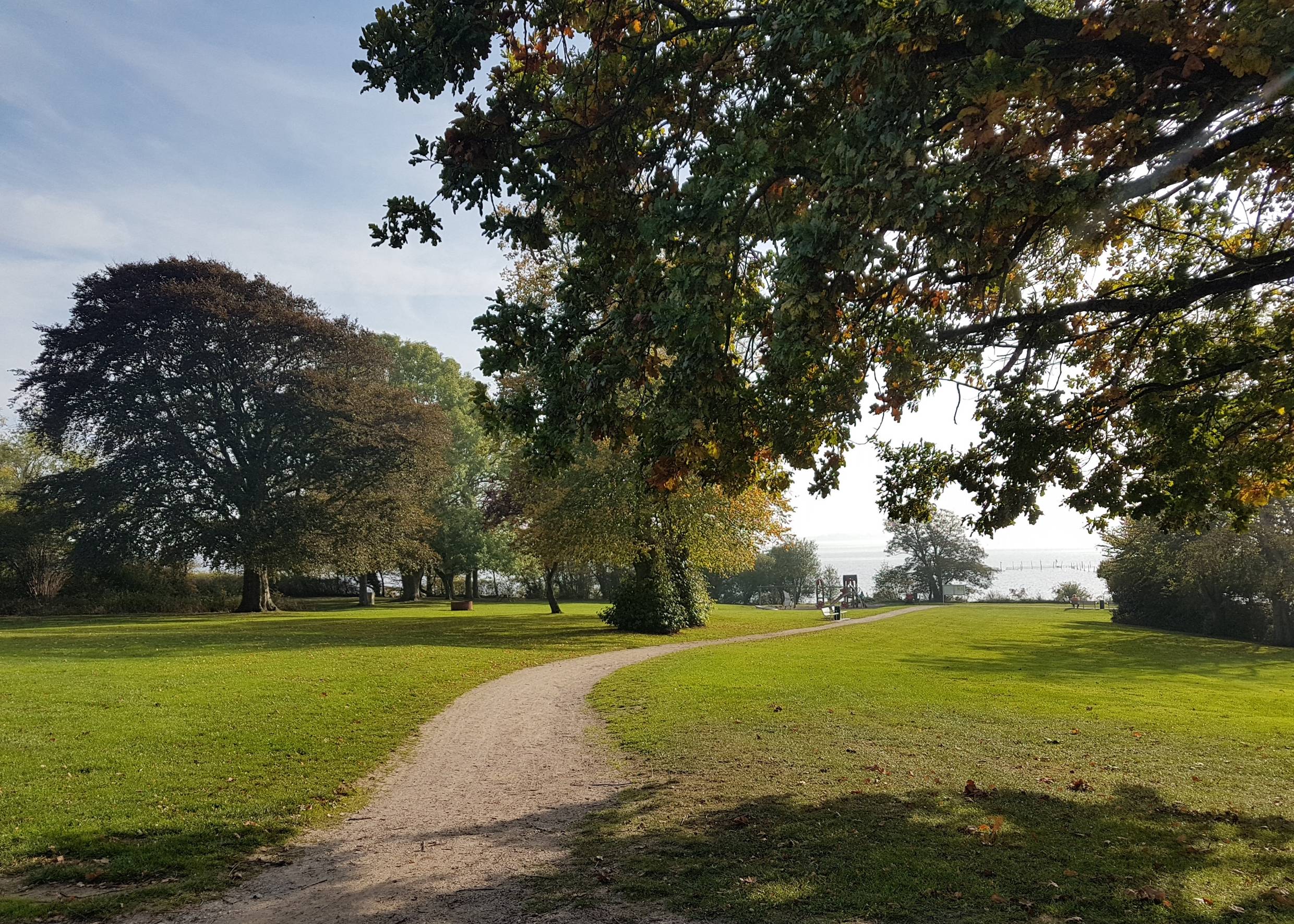 Weg durch einen Park mit grünem Rasen und großen Laubbäumen
