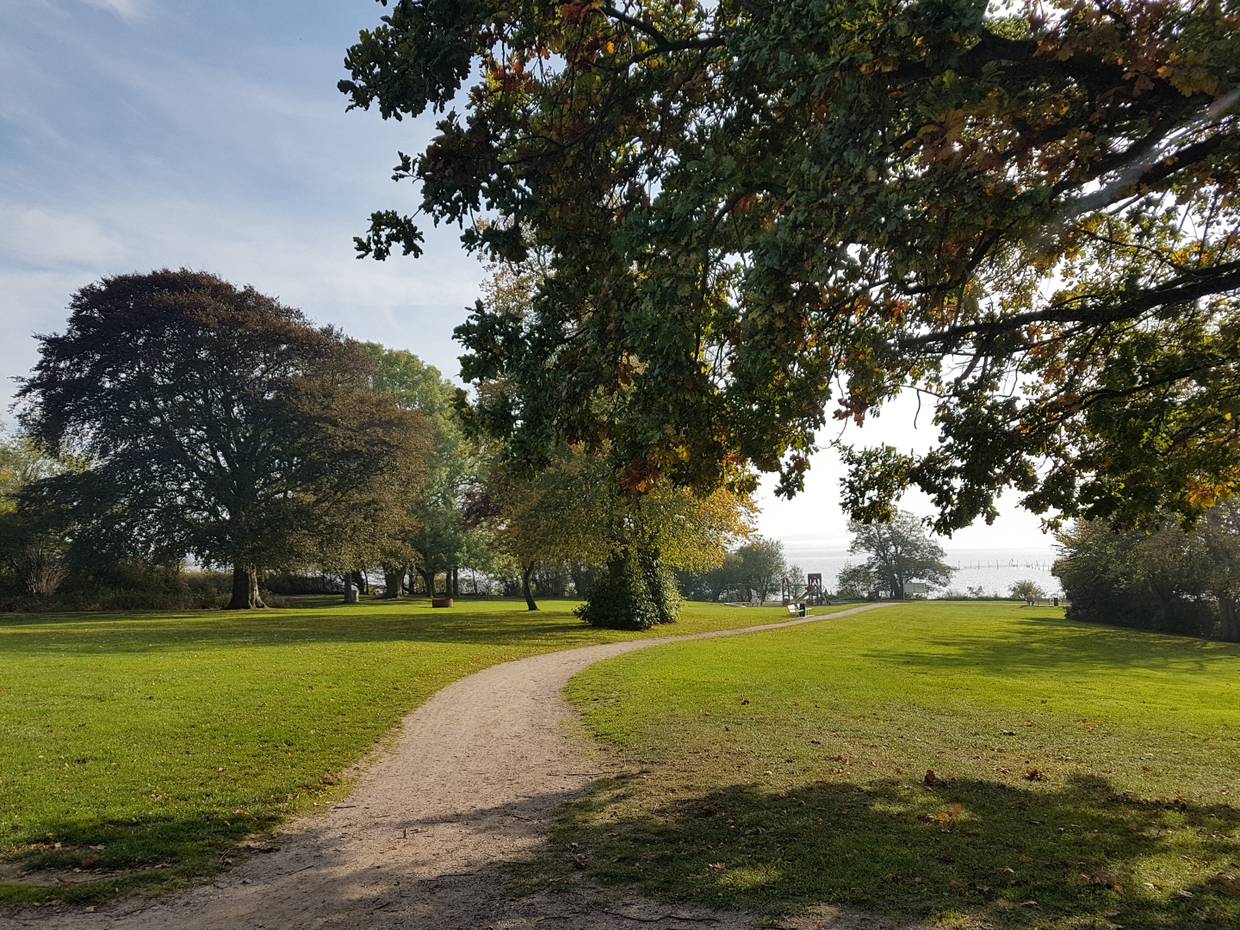 Weg durch einen Park mit grünem Rasen und großen Laubbäumen