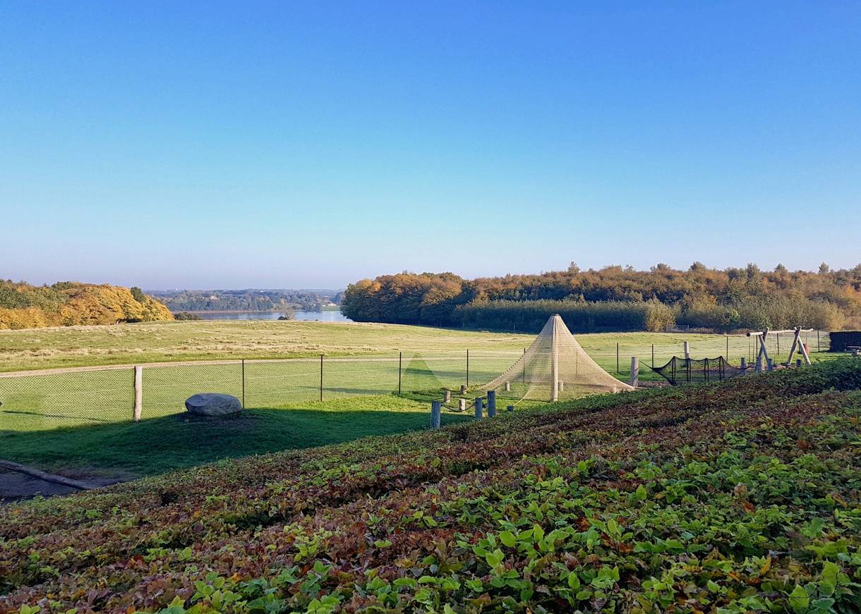 Aussicht auf einen See hinter einer Wiese, davor Spielgeräte