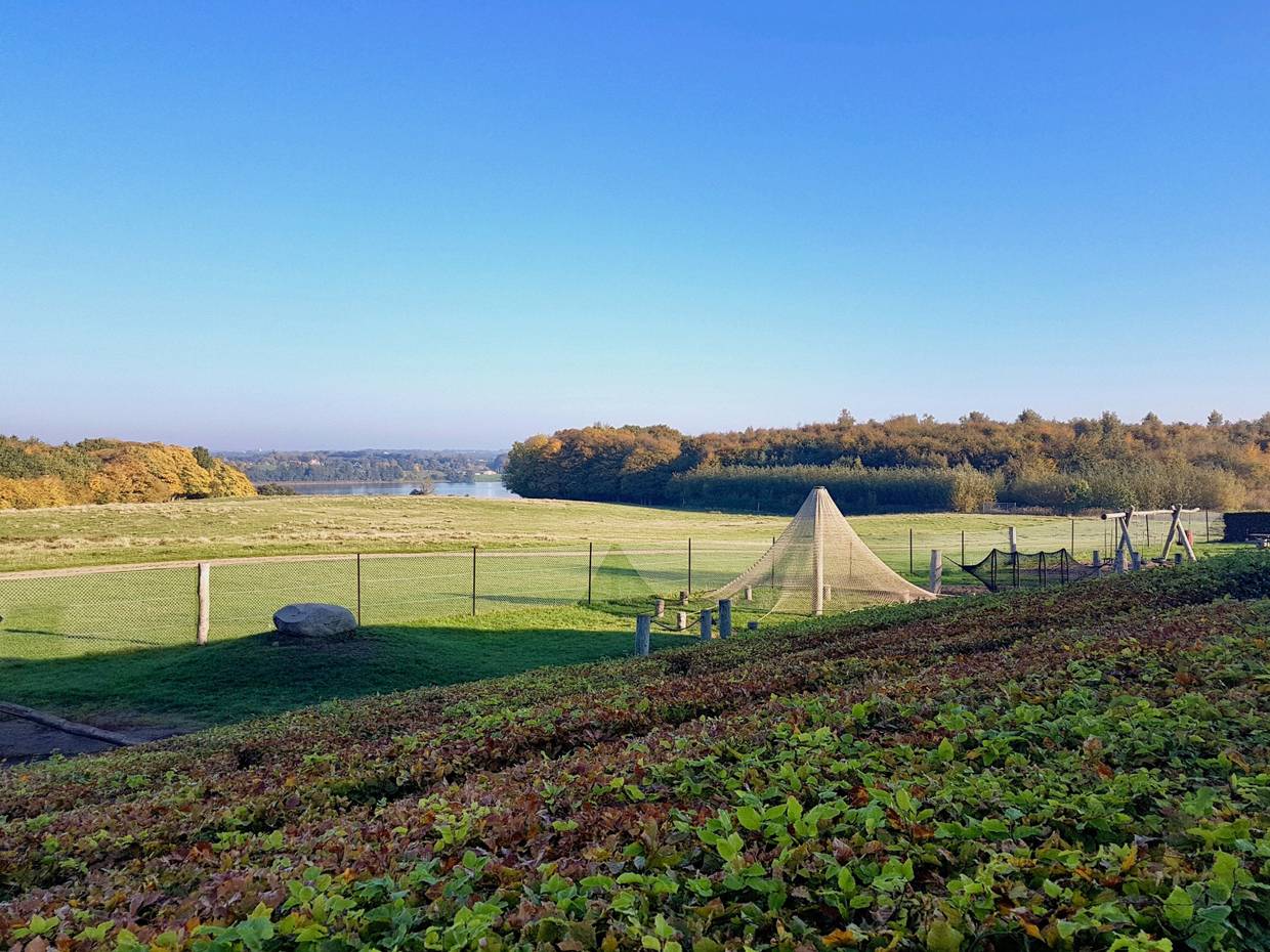 Aussicht auf einen See hinter einer Wiese, davor Spielgeräte