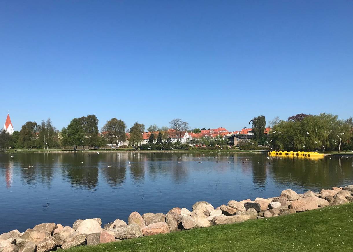Stadtparksee mit Enten