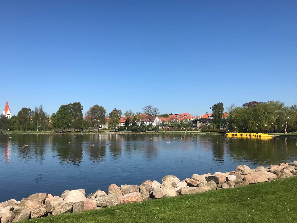 Stadtparksee mit Enten