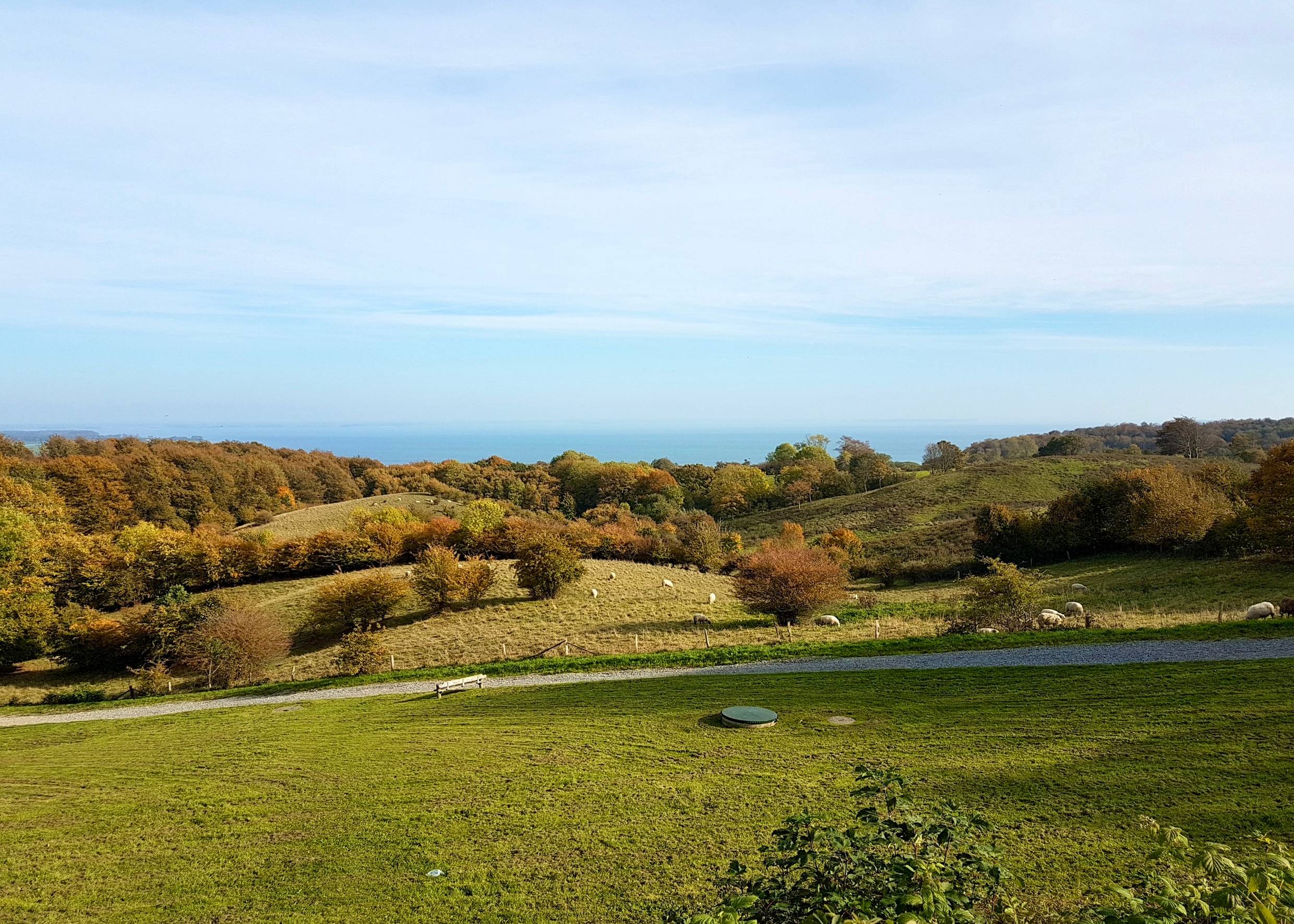 Blick über grüne Hügel auf die Ostsee