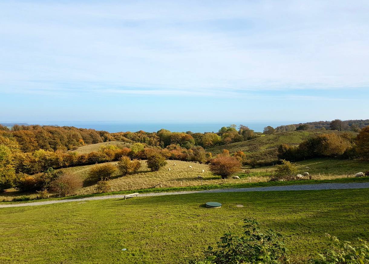 Blick über grüne Hügel auf die Ostsee
