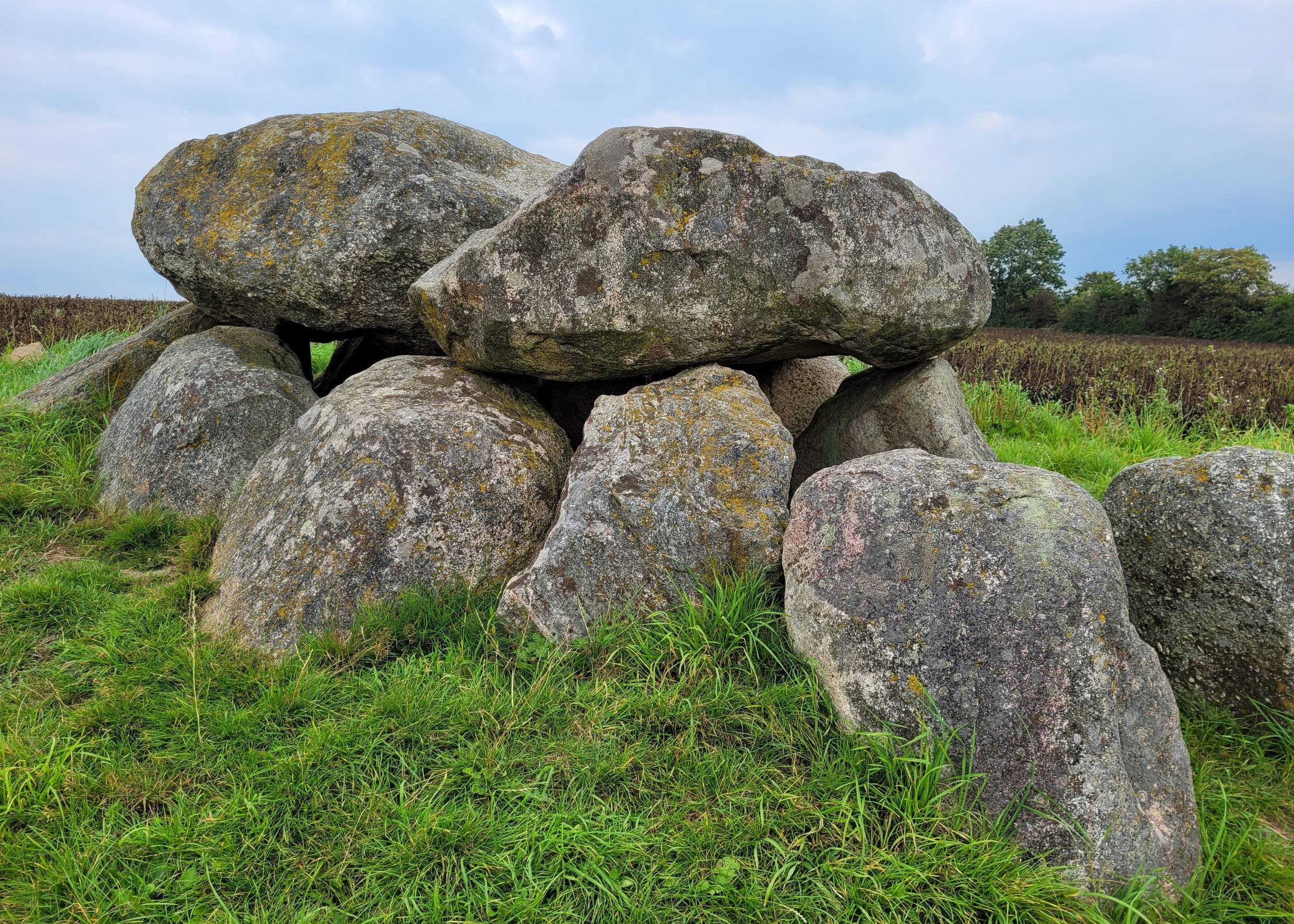 Steinzeitliches Grab auf einer Wiese