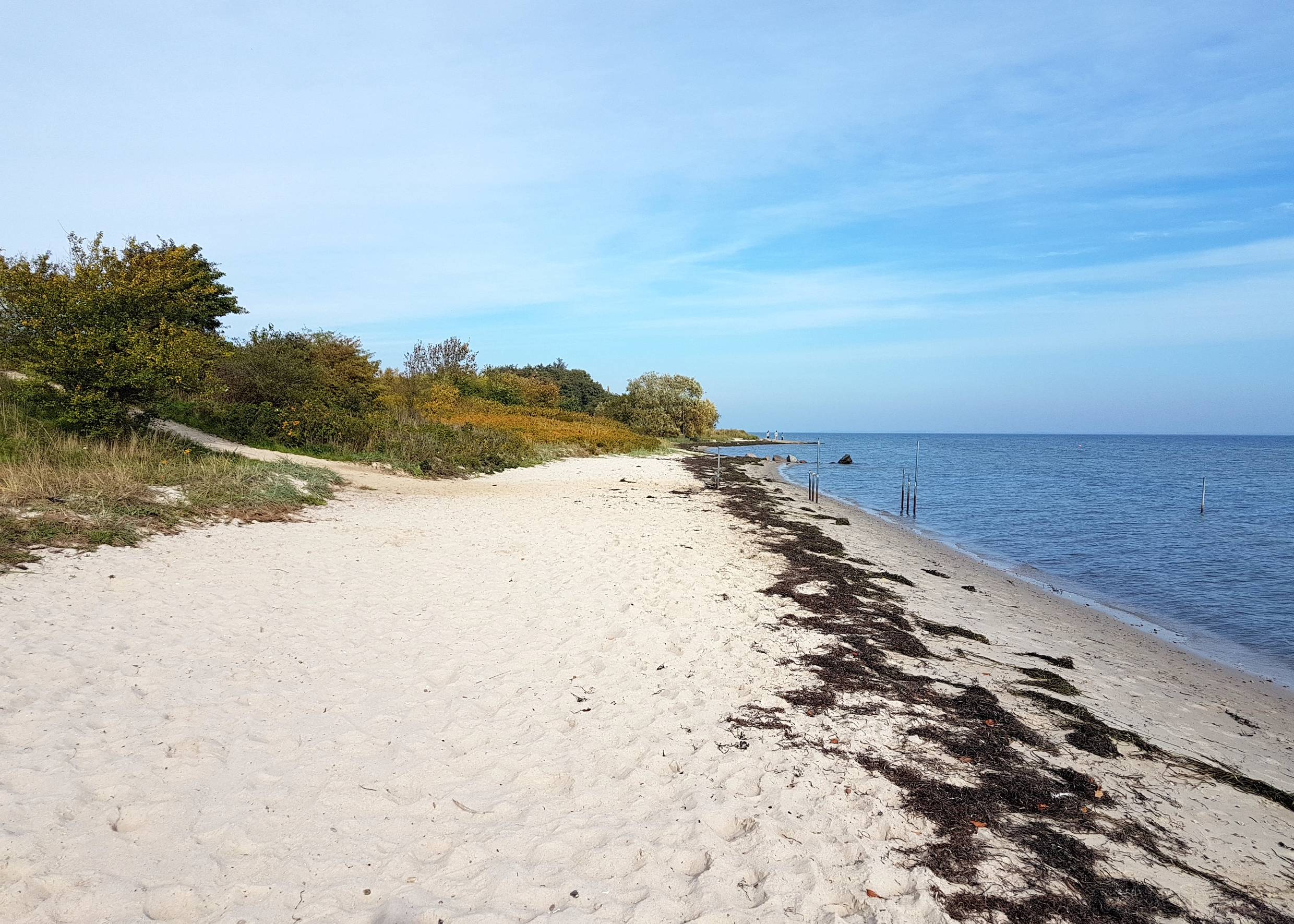 Sandstrand vor einem grünen Hang