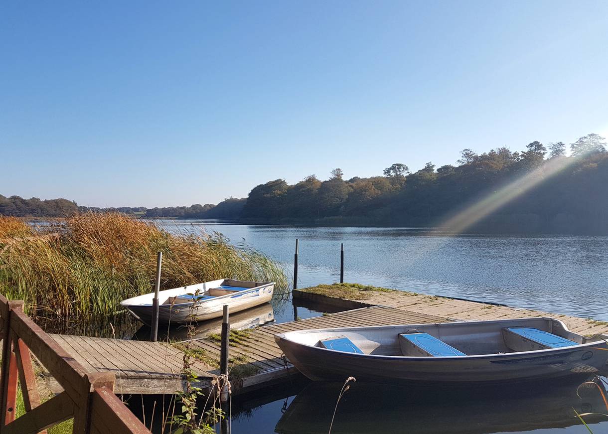 Zwei Ruderboote am Seeufer im Schilf