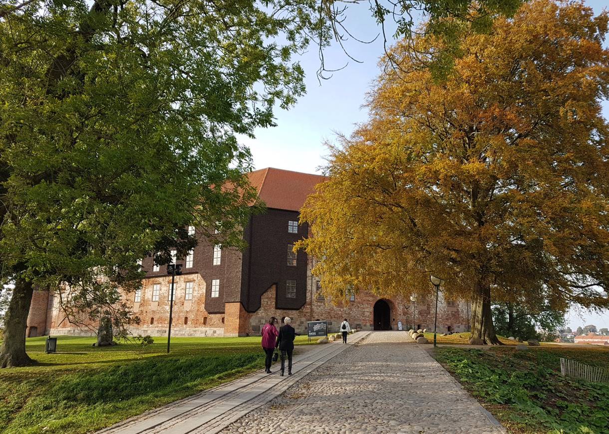 Kopfsteinpflasterweg unter Bäumen zum Eingang von Schloss Koldinghus