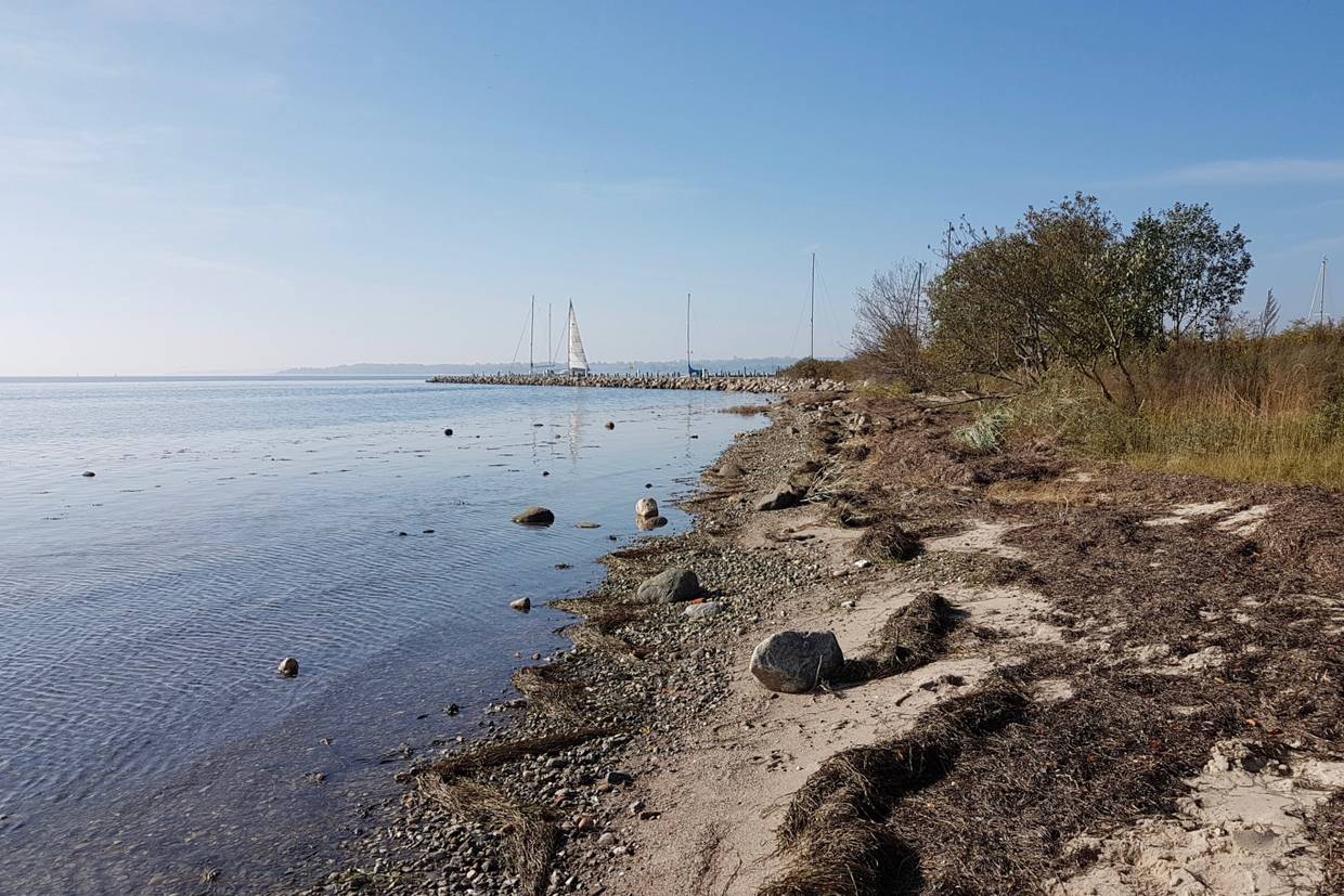 Foto von Rendbjerg Strand