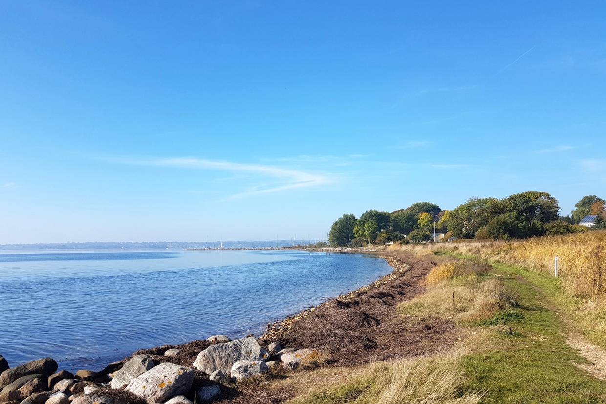 Foto von Rendbjerg Strand
