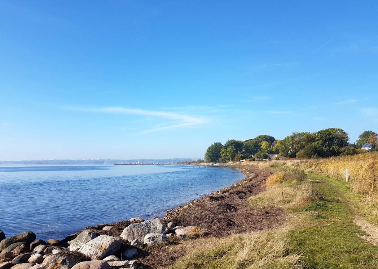 Schmaler Pfad zwischen Wisen und steinigem Ufer mit seichtem Wasser