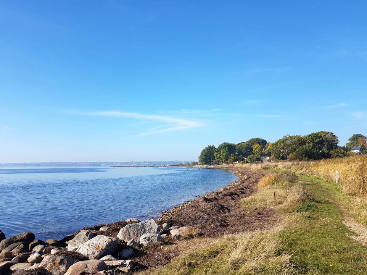 Schmaler Pfad zwischen Wisen und steinigem Ufer mit seichtem Wasser