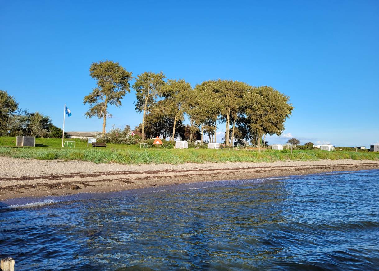 Blick durch die Bäume auf den Aabenraa Fjord im Herbst